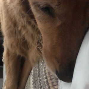 Meet your Posher, Jeremy